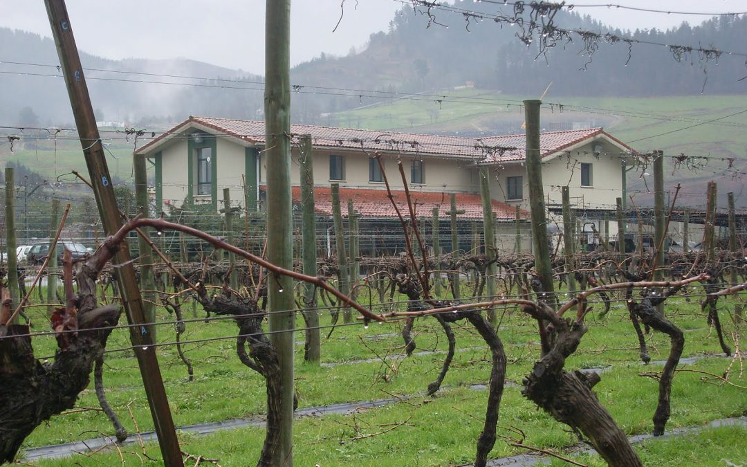 La estación de fruticultura de Zalla organiza las jornadas enologicas de txakoli y sidra.