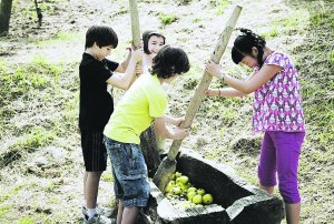 Sagardoetxea ofrece este otoño la actividad de recoger manzanas y elaborar el mosto.