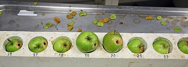 La Diputación de Gipuzkoa abre una sala de cata de la sidra en Fraisoro.