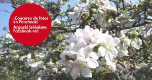 Lehiaketa facebook-en
