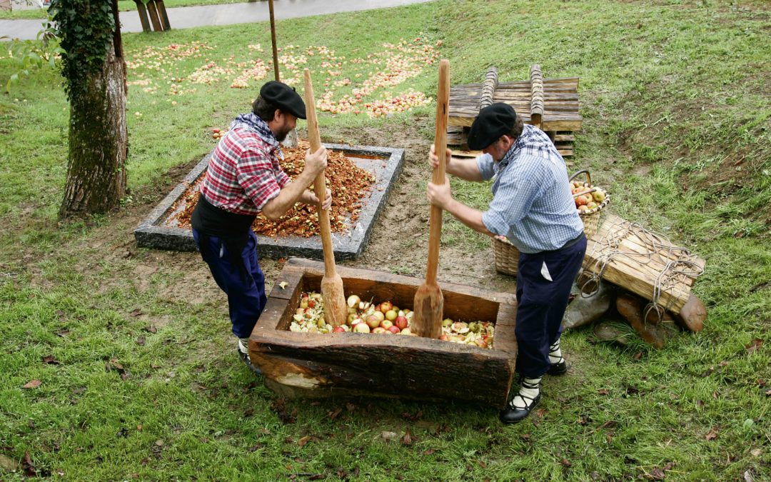 El Museo de la Sidra Vasca y el entorno natural de Santiagomendi, próximos destinos de la iniciativa «La Biodiversidad de Euskadi».