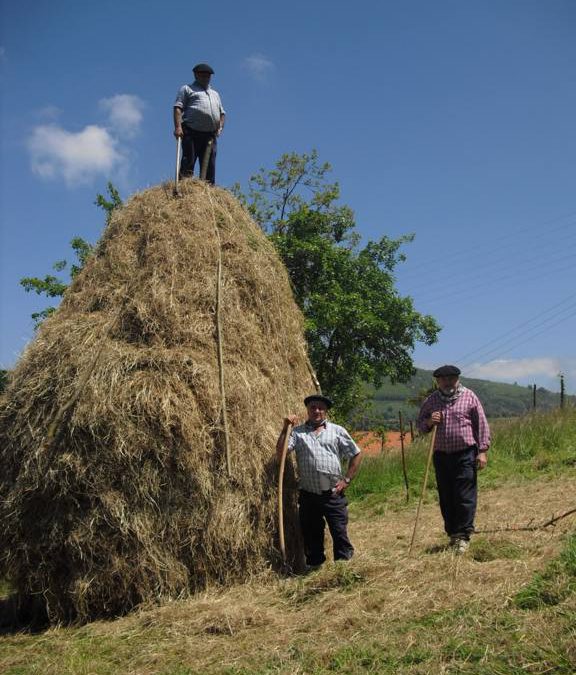 «Memoria del mundo rural» a través de diferentes trabajos del manzanal en Sagardoetxea.