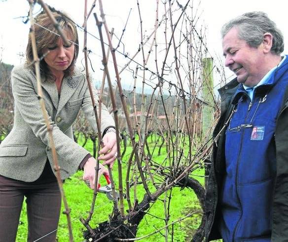 XVIII Edición de las Jornadas Enológicas de Txakoli y Sidra de Bizkaia.