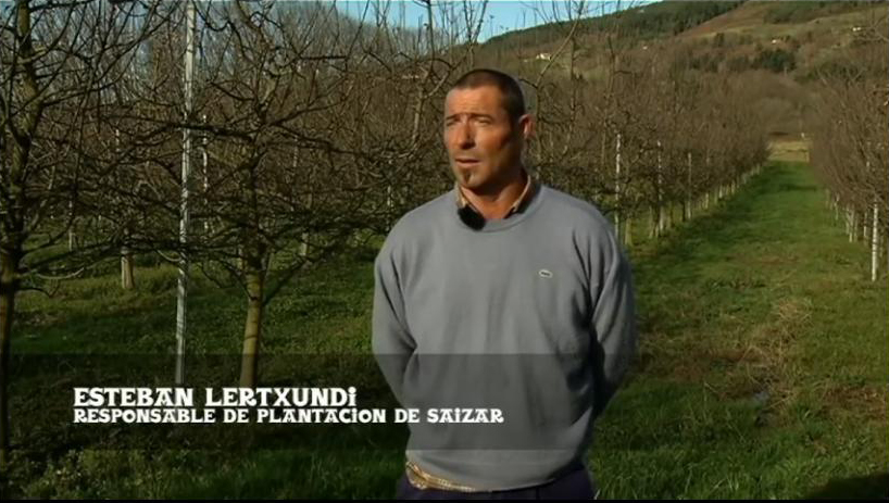 Vídeo «Los templos de la sidra», por Pupilas Gustativas