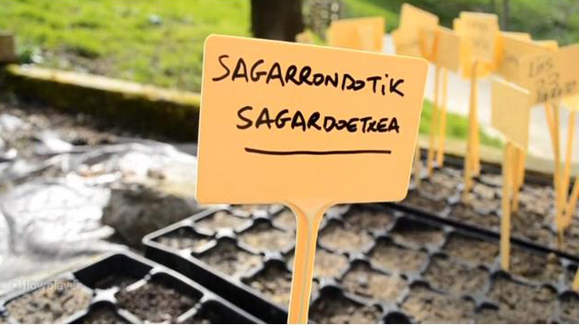 El programa #Sagarrondotik de Hamaika telebista en Sagardoetxea.