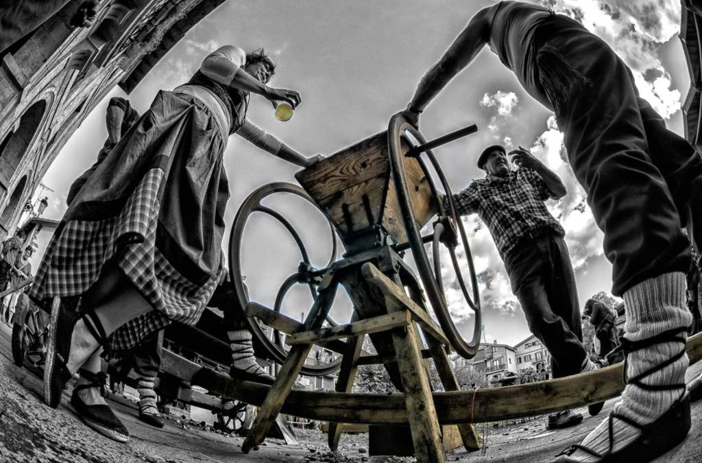 Retrospectiva 2016. Principales acontecimientos del territorio de la sidra