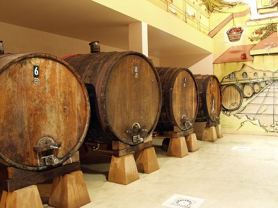 Sagardoaren Lurraldeako TXOPINONDO Azkaingo sagardotegia