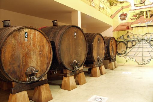 Sidrería de Azkaine TXOPINONDO de Sagardoaren Lurraldea