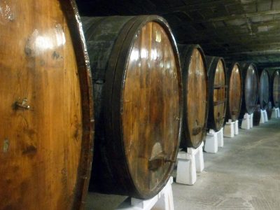 Sagardoaren Lurraldeako ELUTXETA Urnietako sagardotegia