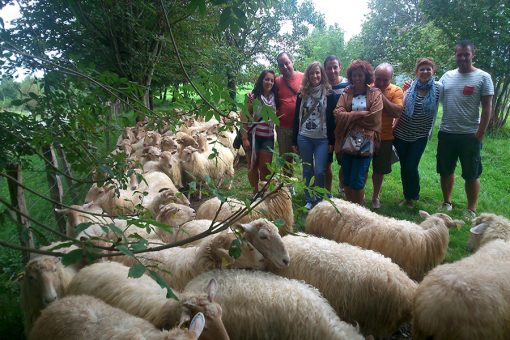 Quesería Adarrazpi, Sagardoetxea y comida en sidrería - Imagen 3