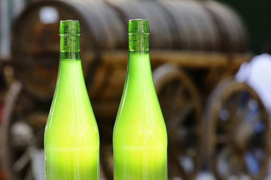 Convocatoria para el «XVIII Concurso de Sidra. Premios Diputación Foral de Gipuzkoa»