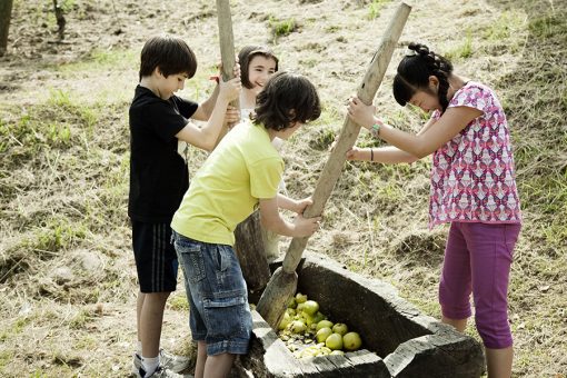 Actividades del Museo de la Sidra Vasca Sagardoetxea