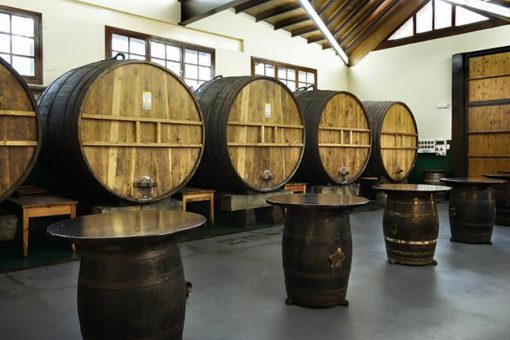 Sagardoaren Lurraldeako IRIGOIEN-HERRERO Astigarragako sagardotegia