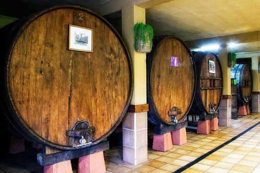 Sagardoaren Lurraldeako SATXOTA Aiako sagardotegia