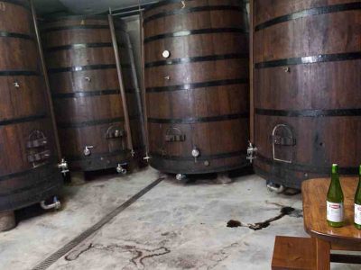 Sagardoaren Lurraldeako URDAIRA Usurbilgo sagardotegia