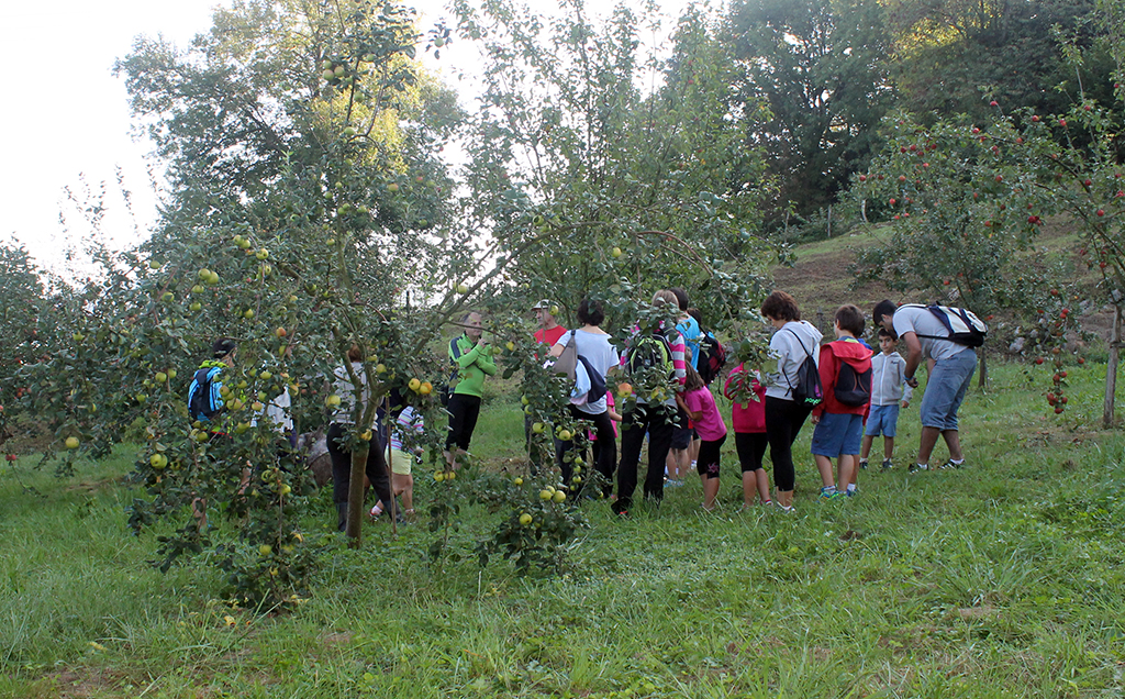Dibertsioa familian Sagar Uztan