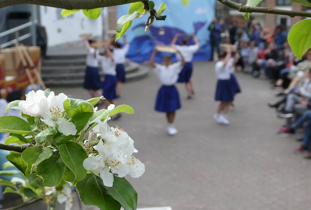 Buen ambiente festivo en el evento «Udaberri giroan» de Sagardoetxea