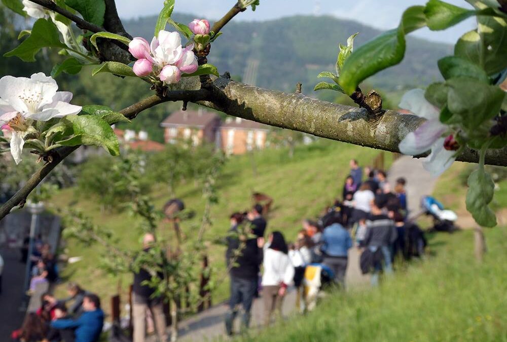 Udaberri giroan 2018_18