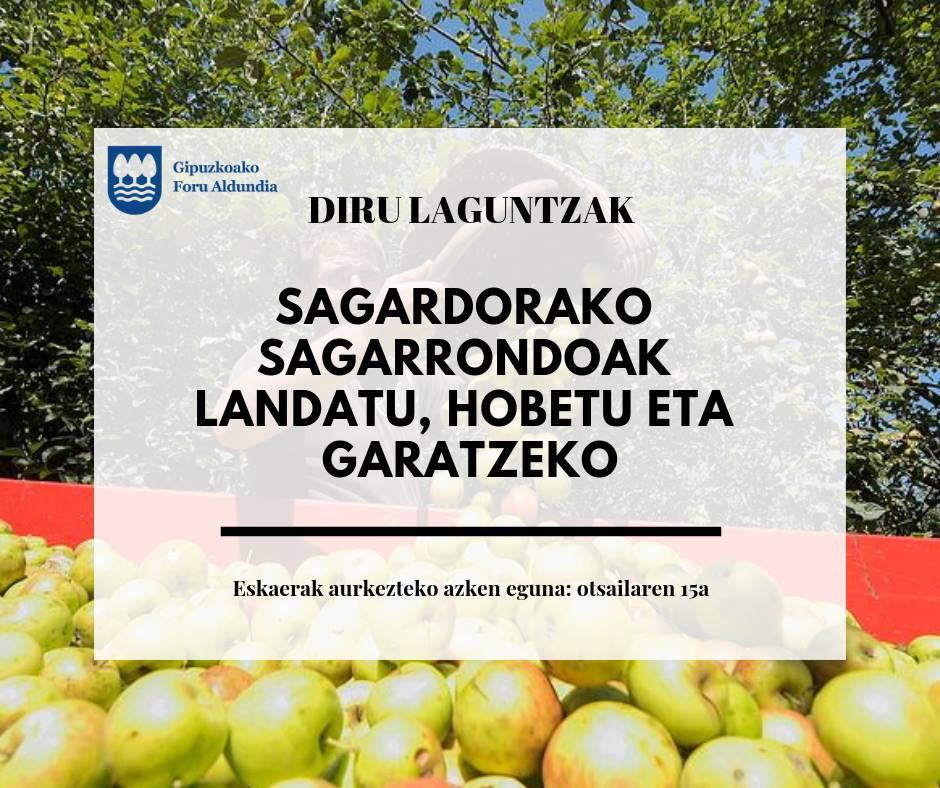 Gipuzkoan sagardorako sagarrondoak landatu, hobetu eta garatzeko dirulaguntzen 2019ko deialdia