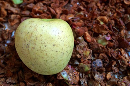 Oportunidad de disfrutar de la iniciativa ASTEKLIMA en Astigarraga con dos cursos sobre la manzana