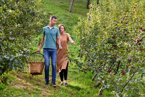 Sagardoetxea, Basque Cider Museum