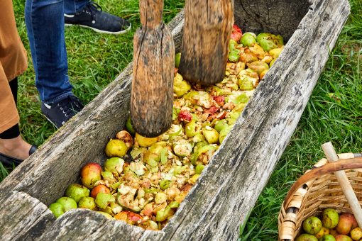 Sagardoetxea, Basque Cider Museum - Image 4